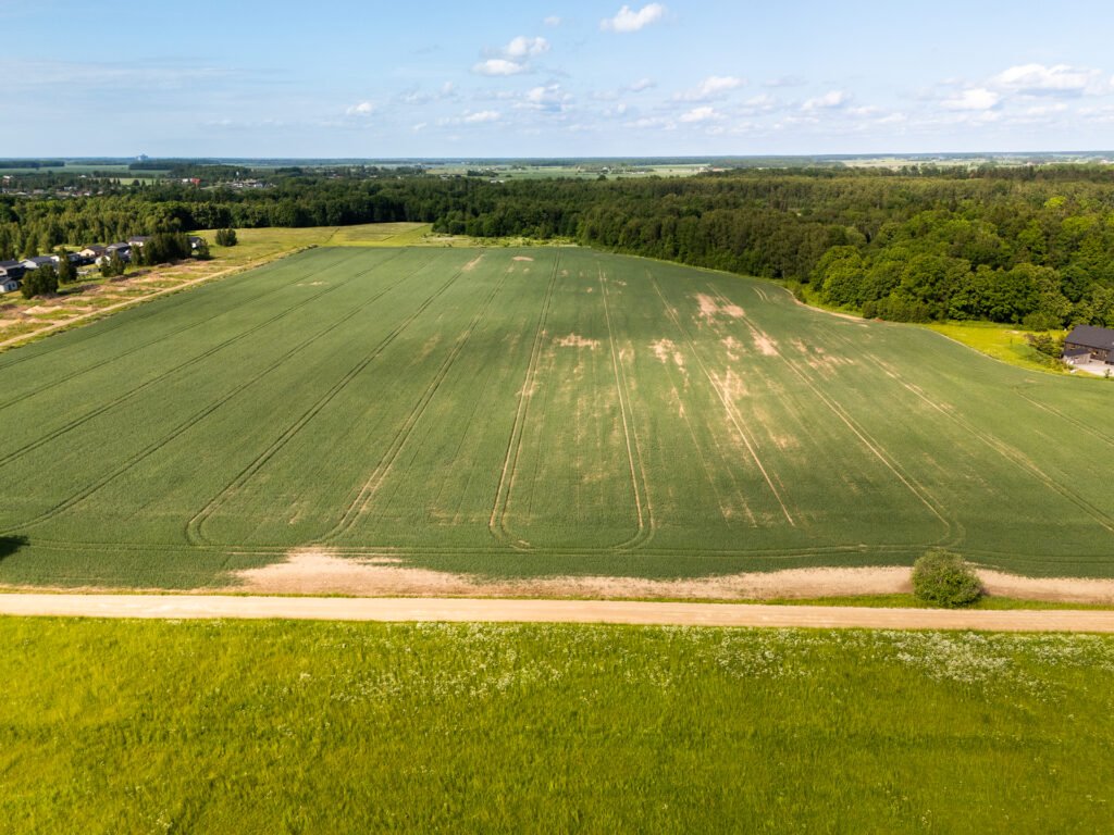 Namų valdos sklypas – Klaipėdos r. sav., Radailių k., Laukiškių g.