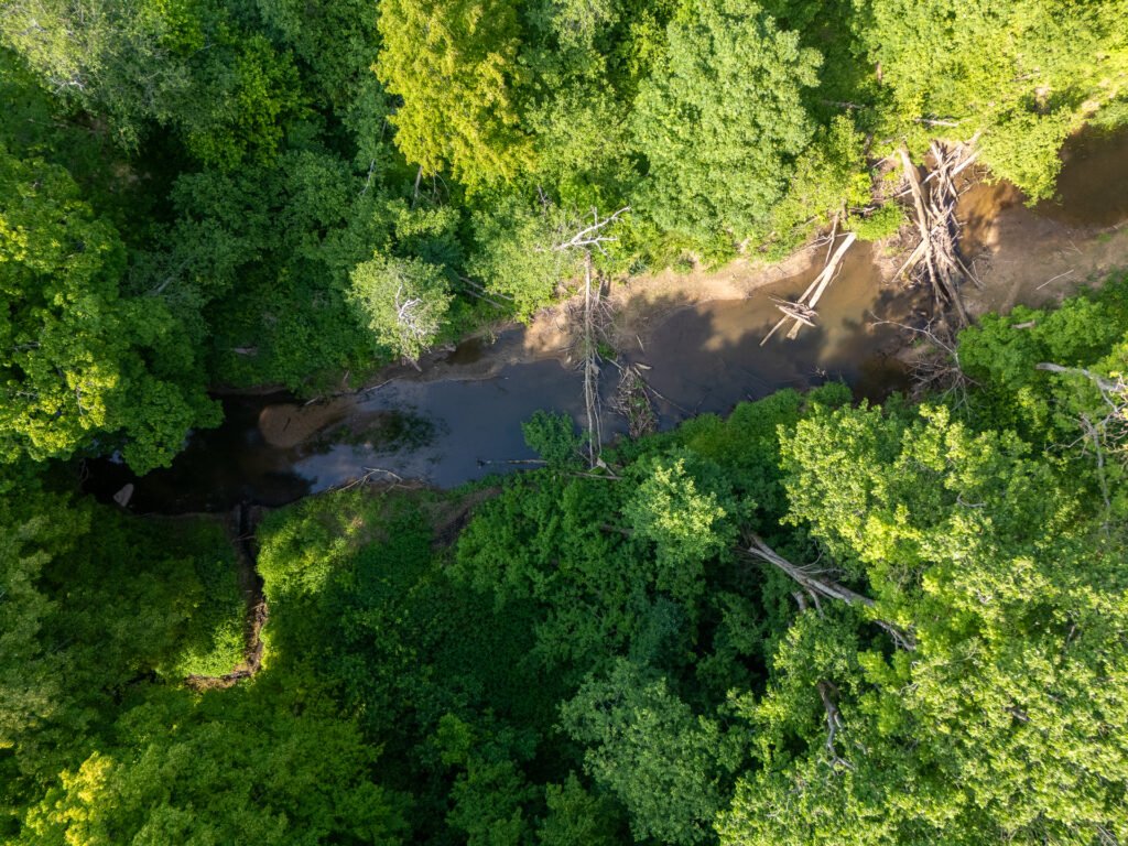 Namų valdos sklypas – Klaipėdos r. sav., Radailių k., Laukiškių g.