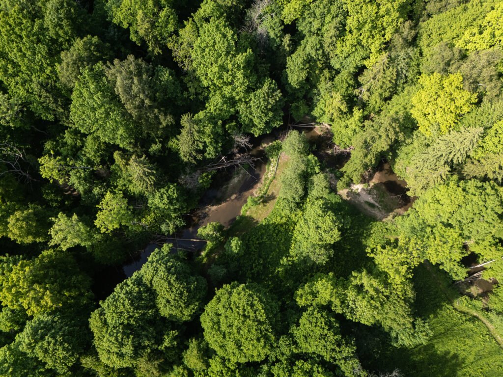 Namų valdos sklypas – Klaipėdos r. sav., Radailių k., Laukiškių g.