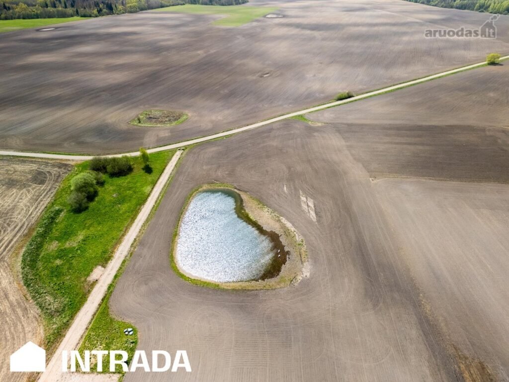 Klaipėdos r. sav., Pakamorių k., Gluosnio g., namų valdos paskirties sklypas