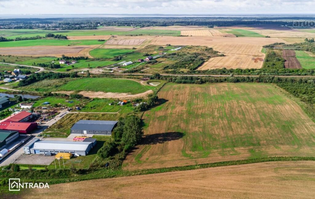 Sklypas Klaipėdos r. sav., Mickų k.